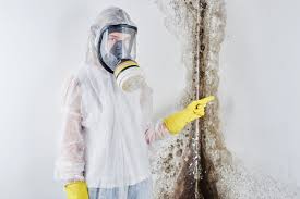 Mold Removal for HVAC Installations in Indian Mountain Lake, PA